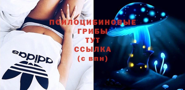 молекула духа Балахна