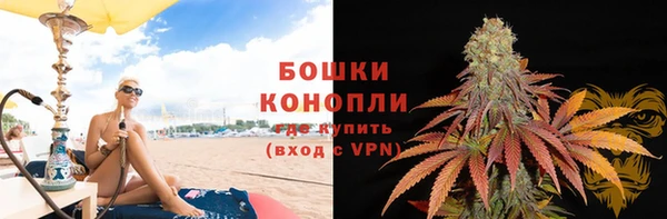молекула духа Балахна