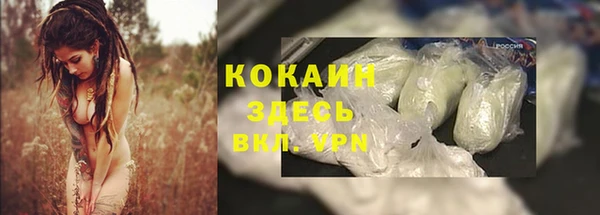 молекула духа Балахна