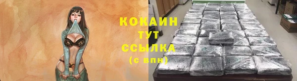 молекула духа Балахна